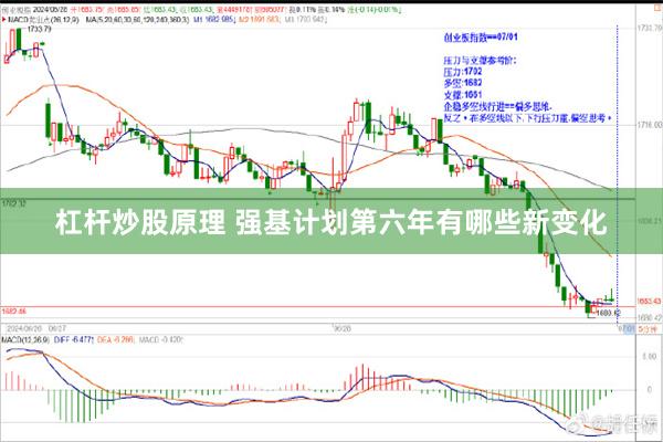 杠杆炒股原理 强基计划第六年有哪些新变化