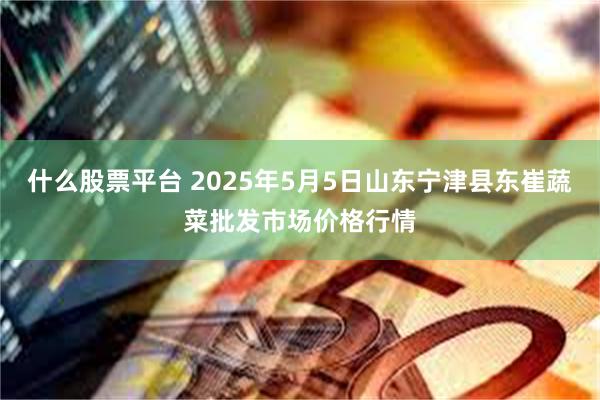 什么股票平台 2025年5月5日山东宁津县东崔蔬菜批发市场价格行情
