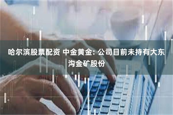 哈尔滨股票配资 中金黄金: 公司目前未持有大东沟金矿股份