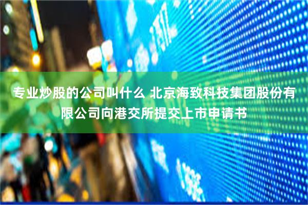 专业炒股的公司叫什么 北京海致科技集团股份有限公司向港交所提交上市申请书