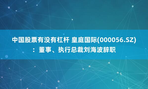 中国股票有没有杠杆 皇庭国际(000056.SZ)：董事、执行总裁刘海波辞职