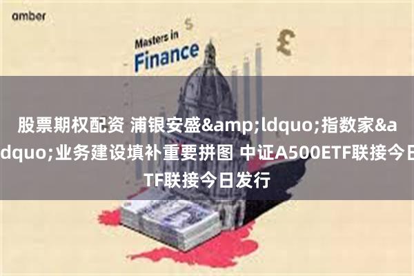股票期权配资 浦银安盛&ldquo;指数家&rdquo;业务建设填补重要拼图 中证A500ETF联接今日发行